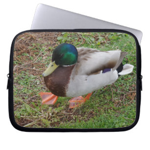 Duck 10-inch hoes voor groene laptop