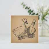 Duck Art Two Ducks Illustratie Kaart (Staand voorkant)