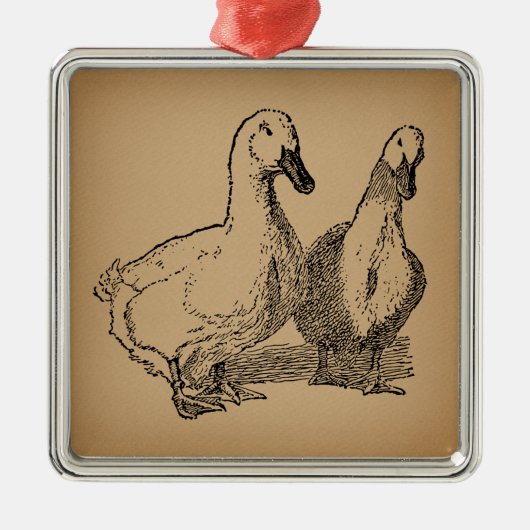Duck Art Two Ducks Illustratie Metalen Ornament (Voorkant)