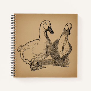  Duck Art Two Ducks Illustratie Notitieboek