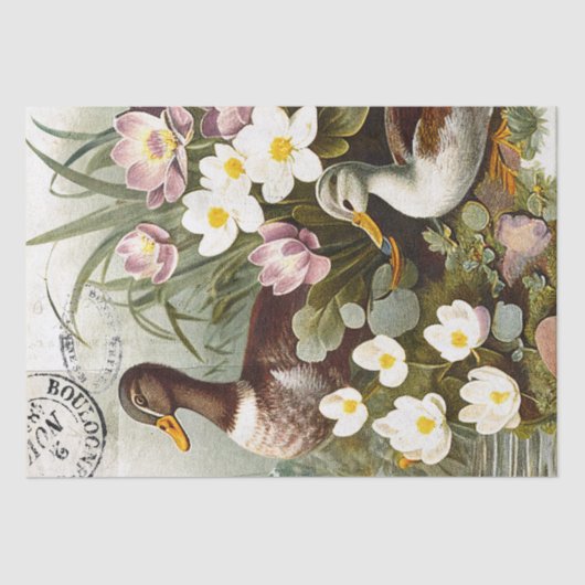 Duck Bird Decoupage Bloemen Frans Postmerk  Tissuepapier (Voorkant)
