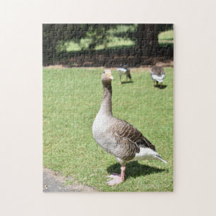 Duck Bird Kew Gardens London Photography Legpuzzel