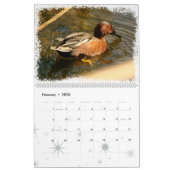 Duck Birds Wildlife Animals Ducking 2016 2017 Kalender (Feb 2026)
