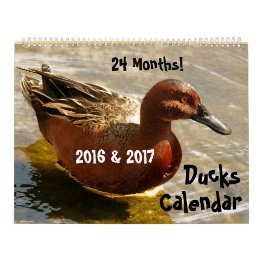 Duck Birds Wildlife Animals Ducking 2016 2017 Kalender (Hoes)