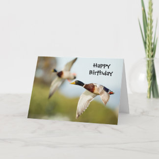 Duck Birthday Card (of elke andere gelegenheid) Kaart