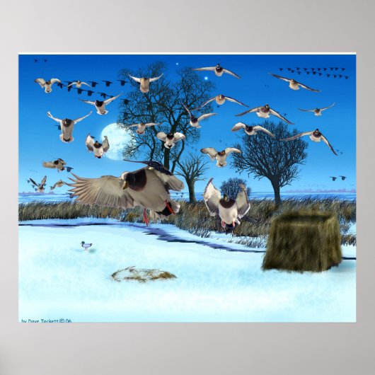 Duck Blind Print (Voorkant)