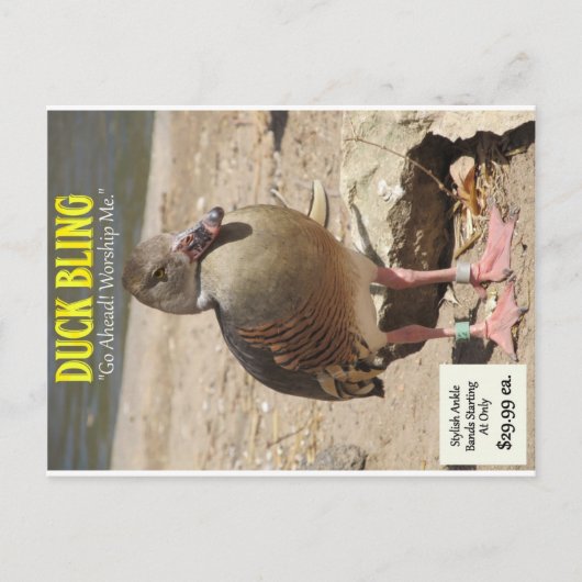 Duck Bling Briefkaart (Voorkant)