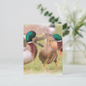 Duck Briefkaart (Staand voorkant)