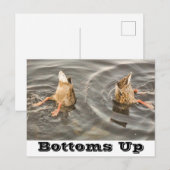 Duck Briefkaart (Voorkant / Achterkant)