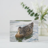 Duck Briefkaart (Staand voorkant)