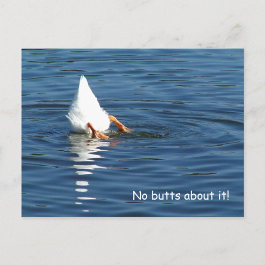 Duck Butt Humor Post Card Briefkaart (Voorkant)