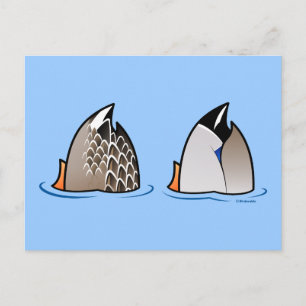 Duck Butts Briefkaart