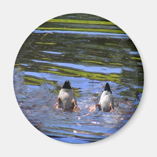 Duck Butts Magneet (Voorkant)