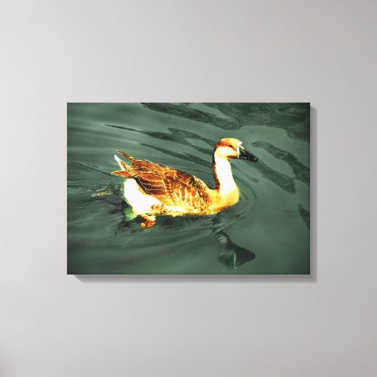 Duck Canvas Afdruk (Voorkant)