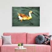 Duck Canvas Afdruk (Insitu (Woonkamer))
