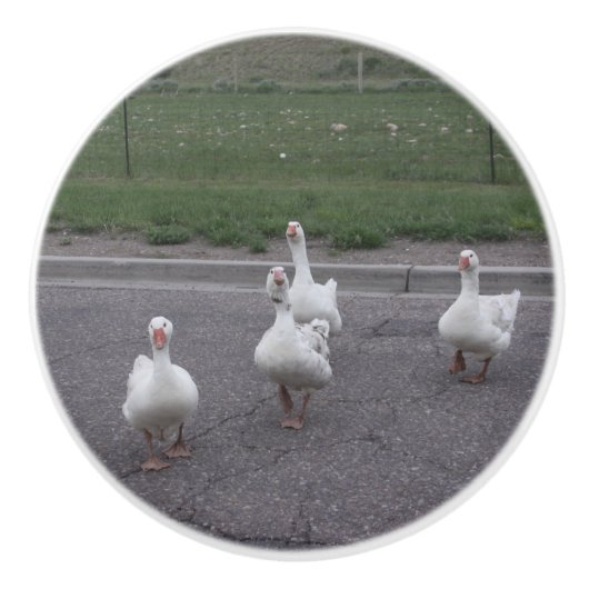 Duck Ceramic Knob. Keramische Knop (Voorkant)