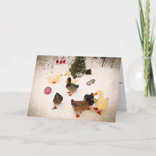 Duck Christmas Party Christmas Kaart (Voorkant)