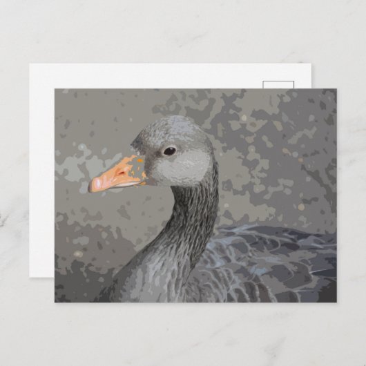 Duck close-up uitzicht briefkaart (Voorkant / Achterkant)