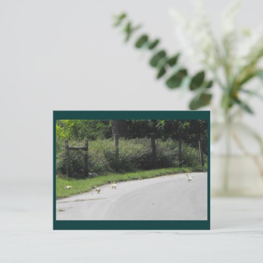 Duck Crossing Briefkaart (Staand voorkant)