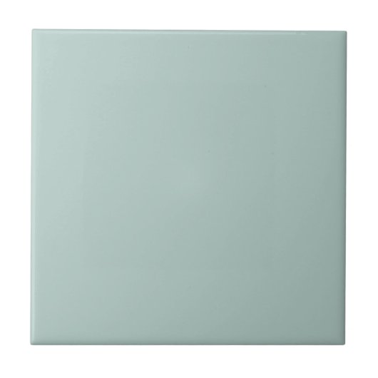 Duck Egg Blue Solid Color Tile Tegeltje (Voorkant)