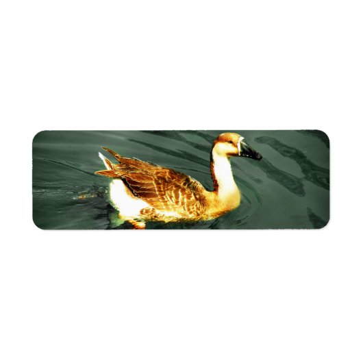 Duck Etiket (Voorkant)