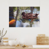 Duck & Fish Pond Poster (Keuken)