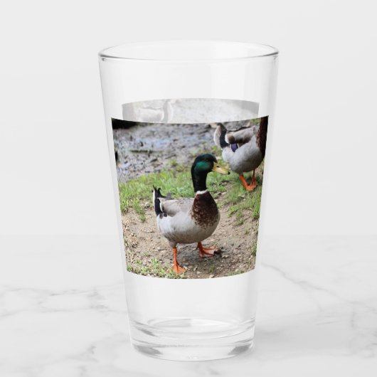 Duck Glas (Voorkant)