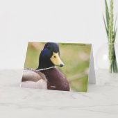 Duck, ik denk aan je Kaart (Achterkant)