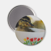 Duck in een Teacup 2 Magneet (Voorkant / Achterkant)