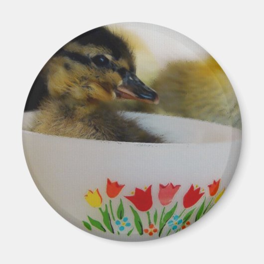 Duck in een Teacup 2 Magneet (Voorkant)