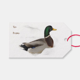 Duck in Snow Pack of Gift Labels Cadeaulabel