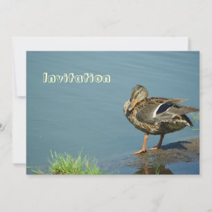 Duck Invitation Kaart