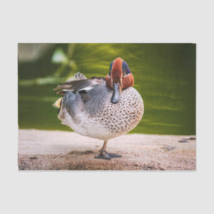 Duck krijgt een been omhoog tissuepapier