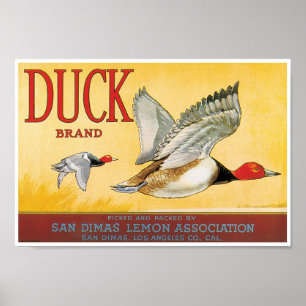 Duck Lemon San Dimas Los Angeles County Poster