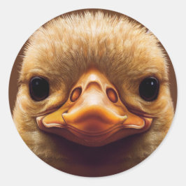 Duck Life like Portrait Beak with Yellow Feathers Ronde Sticker