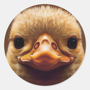 Duck Life like Portrait Beak with Yellow Feathers Ronde Sticker