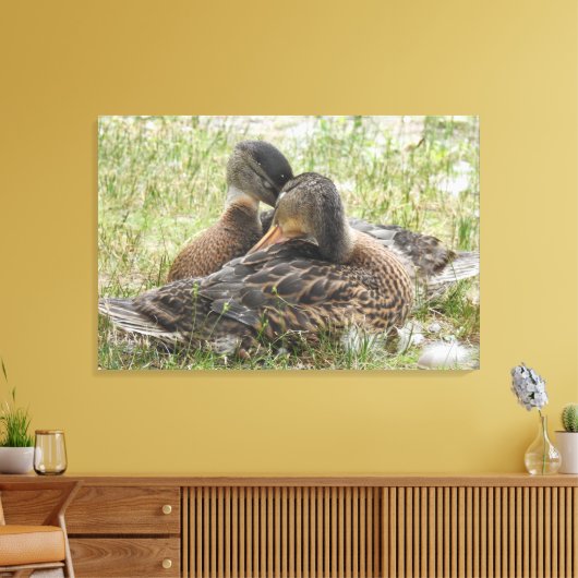 Duck Love Canvas Afdruk (Insitu (Woonkamer))