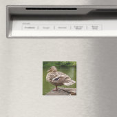 Duck Magnet Magneet (Insitu (Vaatwasser))