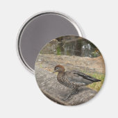 Duck Magnet Magneet (Voorkant / Achterkant)