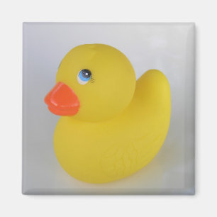 Duck Magnet Magneet