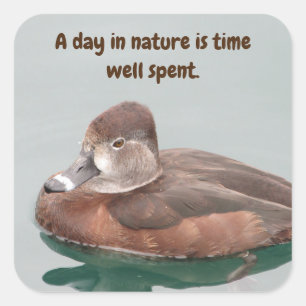 Duck met ringhals Foto: Beauful Brown Vrouw Bird Vierkante Sticker