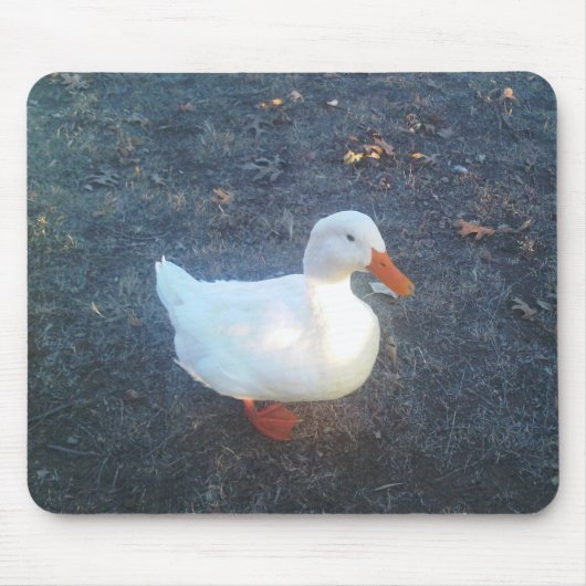 Duck Muismat (Voorkant)