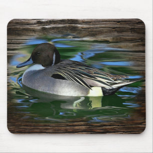 Duck Muismat