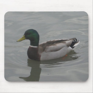 Duck Muismat
