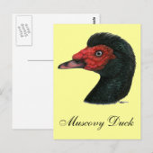 Duck: Muscovy Head Briefkaart (Voorkant / Achterkant)