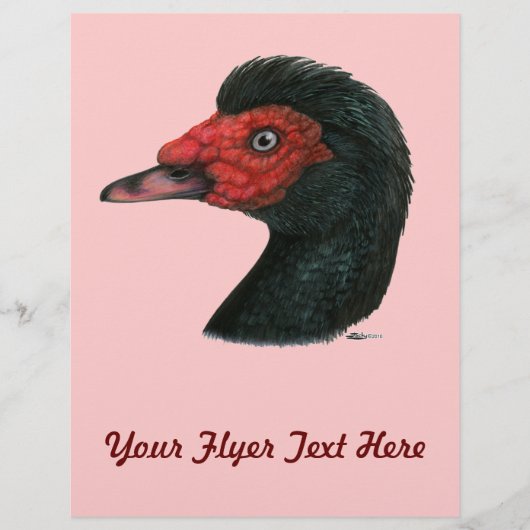 Duck: Muscovy Head Flyer (Voorkant)