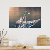 Duck Natuur Photo Poster (Keuken)