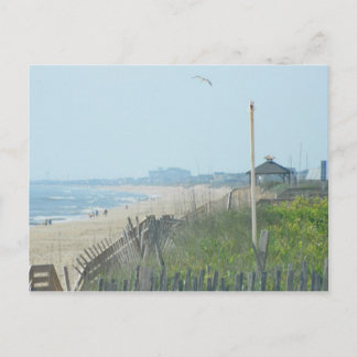 Duck North Carolina Coastline Briefkaart