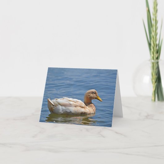 Duck Notecard Kaart (Voorkant)