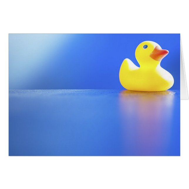 Duck on Blue (Voorkant Horizontaal)